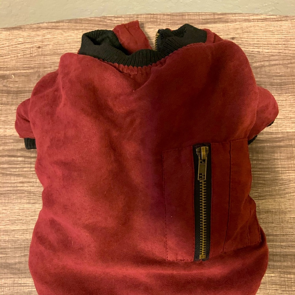 Dog winter coat size small